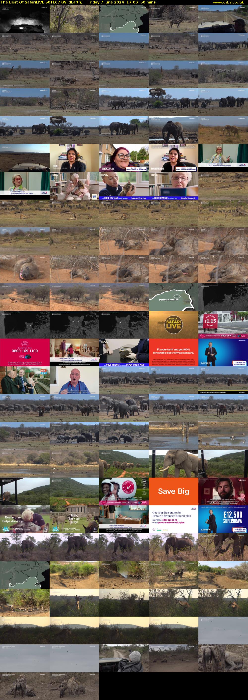 The Best Of SafariLIVE S01E07 (WildEarth) Friday 7 June 2024 17:00 - 18:00