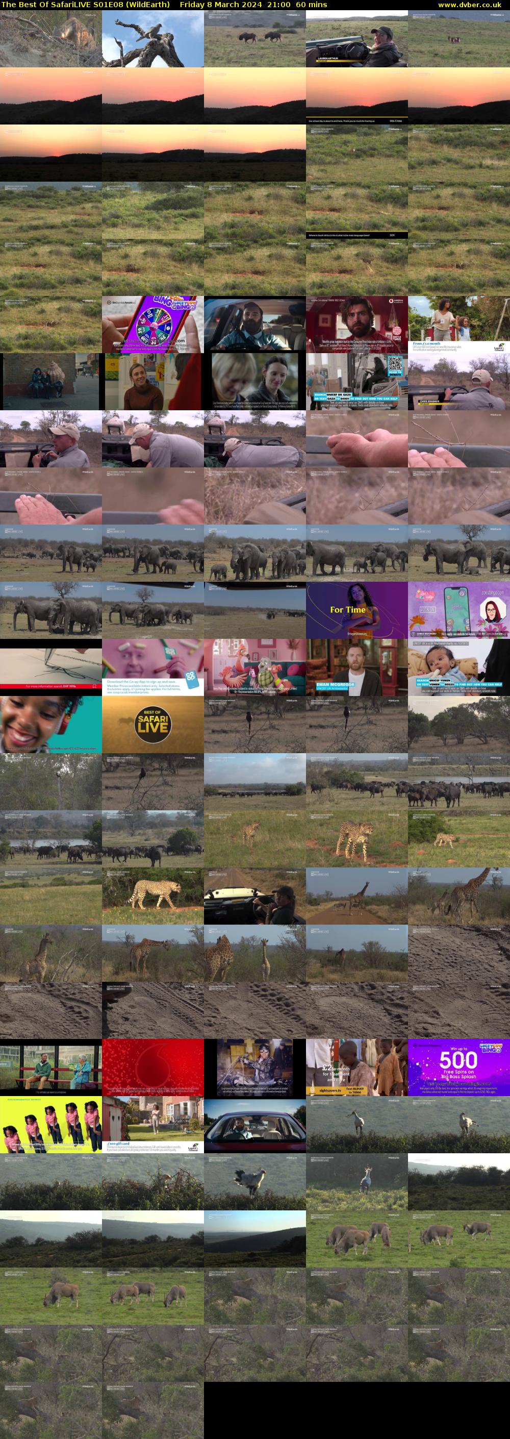 The Best Of SafariLIVE S01E08 (WildEarth) Friday 8 March 2024 21:00 - 22:00