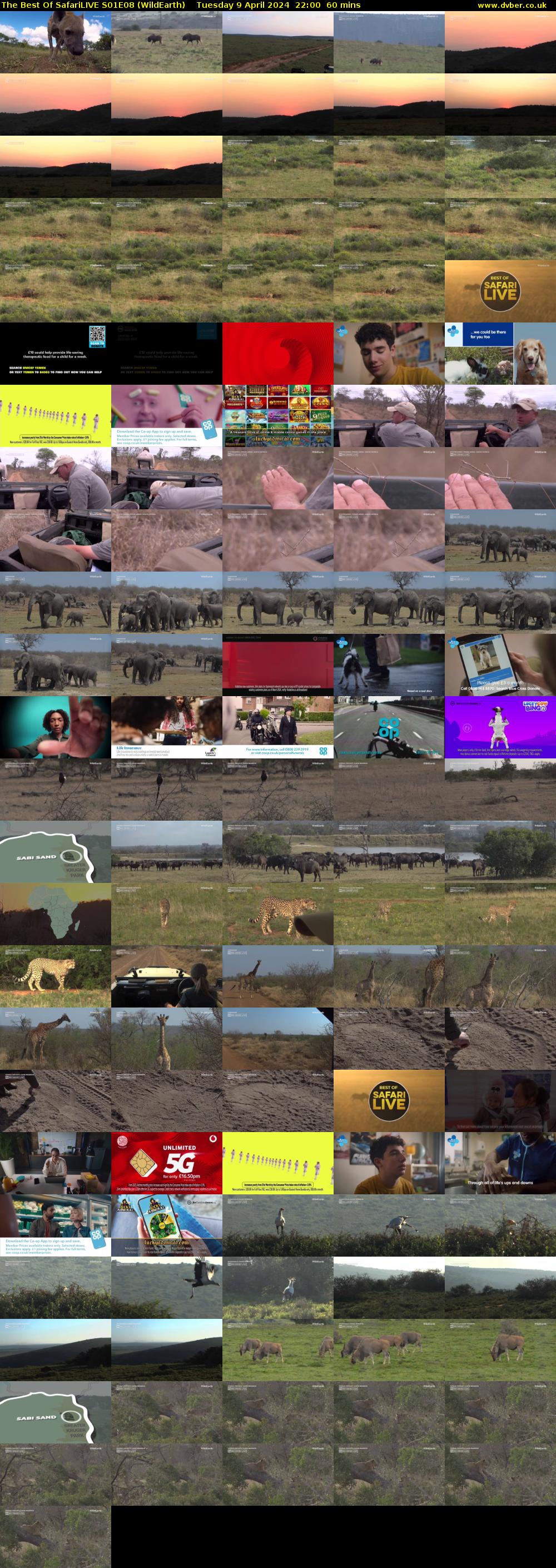 The Best Of SafariLIVE S01E08 (WildEarth) Tuesday 9 April 2024 22:00 - 23:00