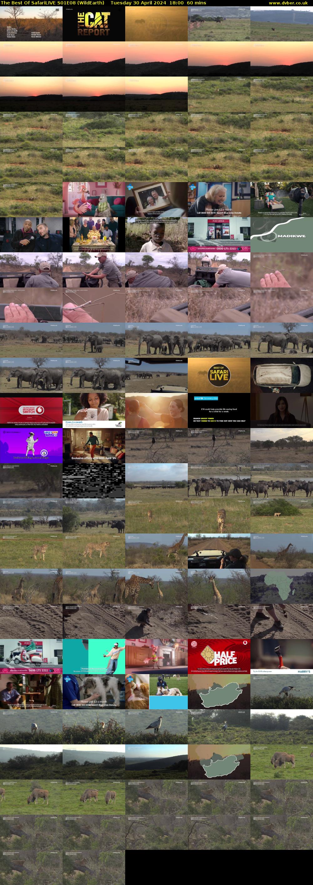 The Best Of SafariLIVE S01E08 (WildEarth) Tuesday 30 April 2024 18:00 - 19:00