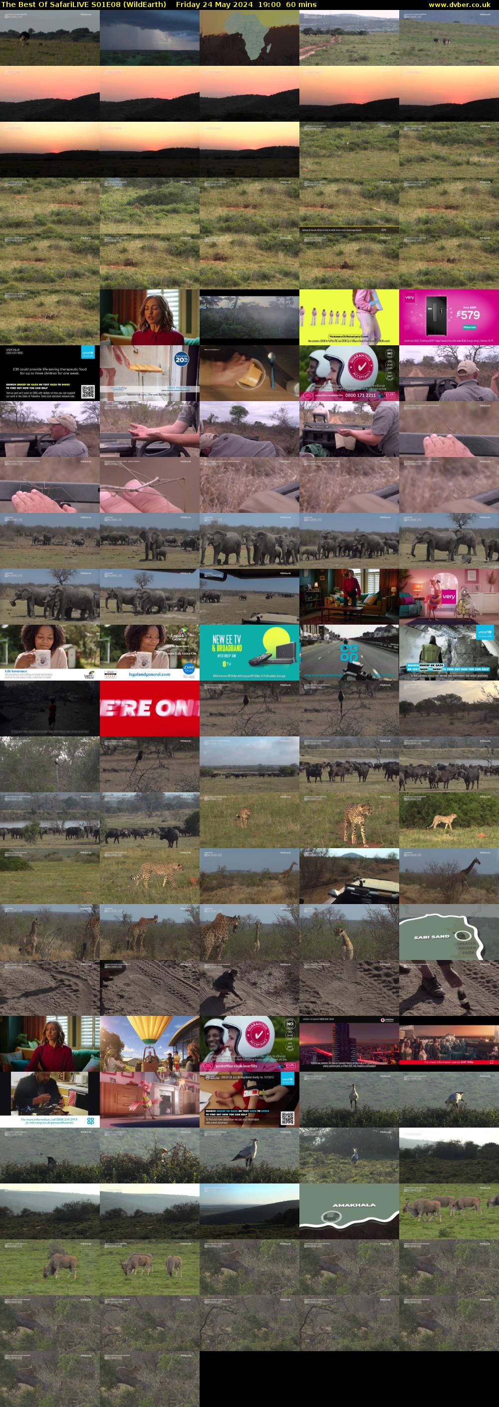 The Best Of SafariLIVE S01E08 (WildEarth) Friday 24 May 2024 19:00 - 20:00