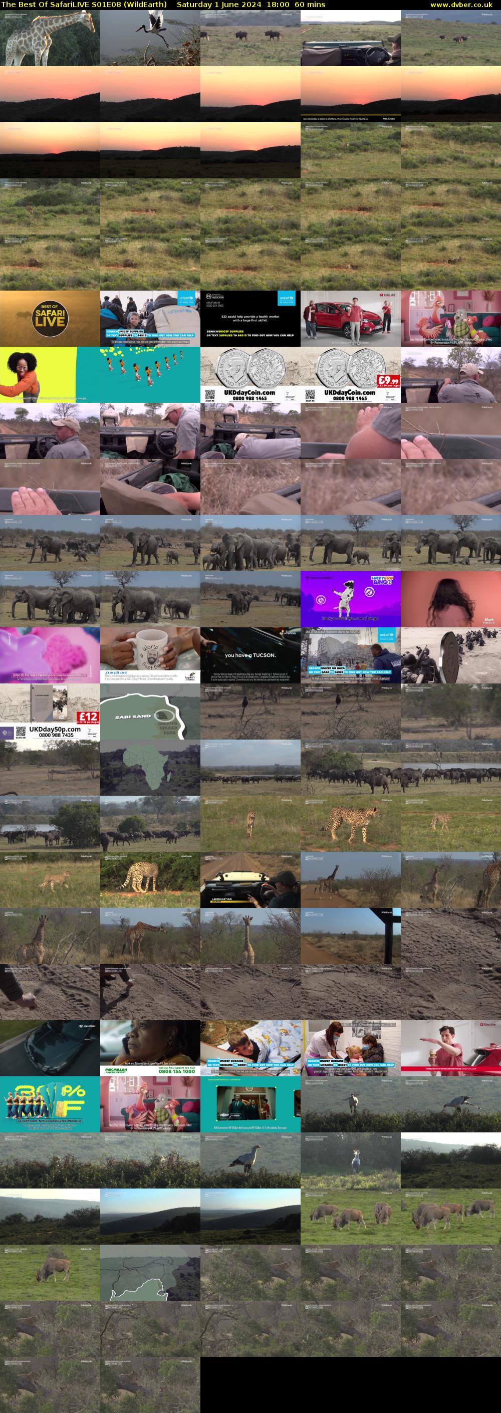 The Best Of SafariLIVE S01E08 (WildEarth) Saturday 1 June 2024 18:00 - 19:00