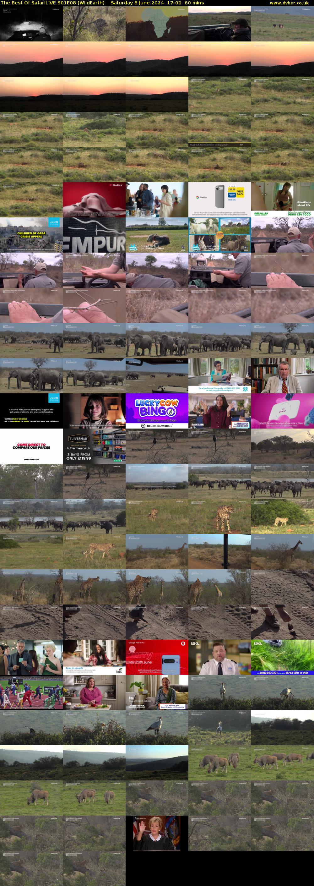 The Best Of SafariLIVE S01E08 (WildEarth) Saturday 8 June 2024 17:00 - 18:00