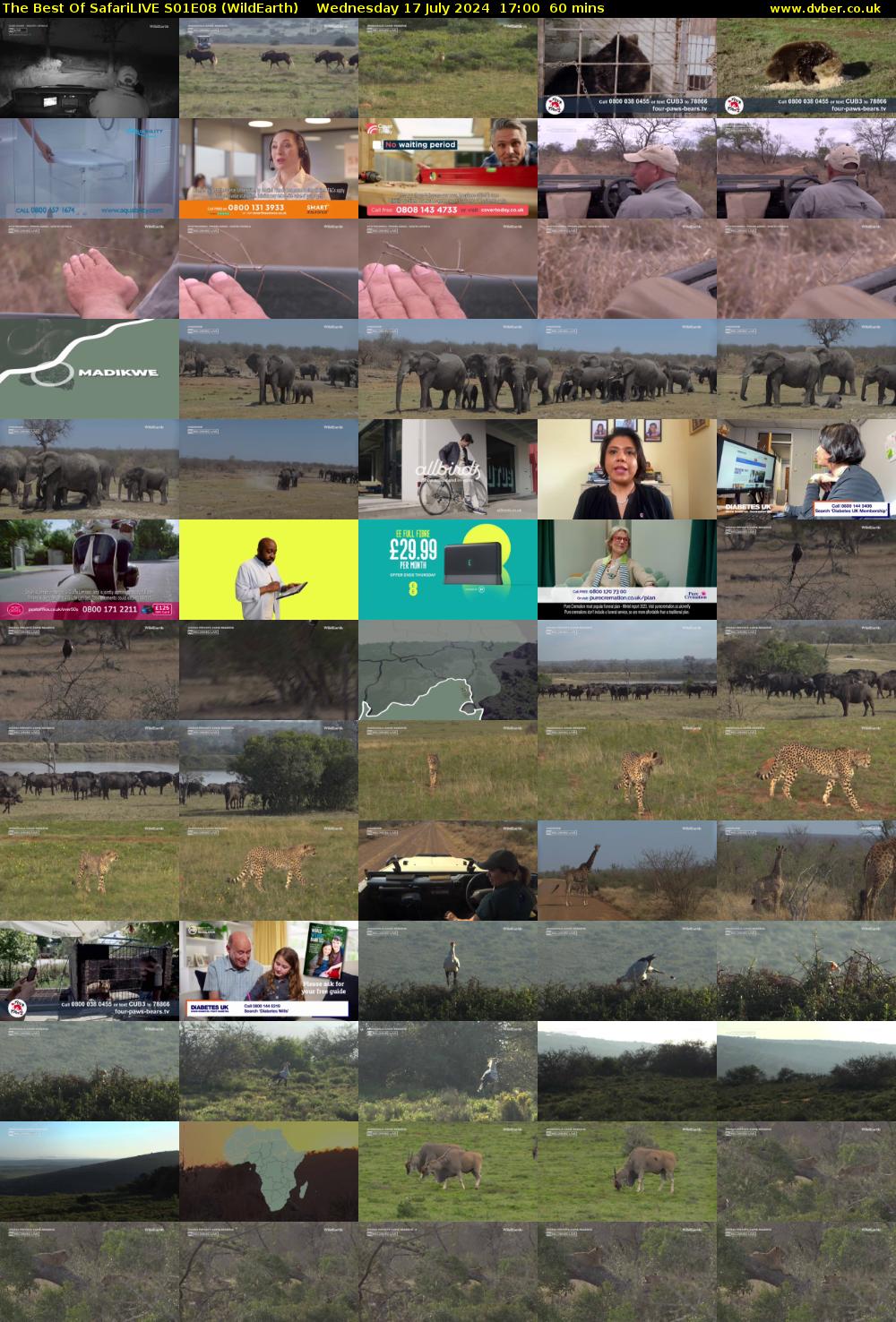 The Best Of SafariLIVE S01E08 (WildEarth) Wednesday 17 July 2024 17:00 - 18:00
