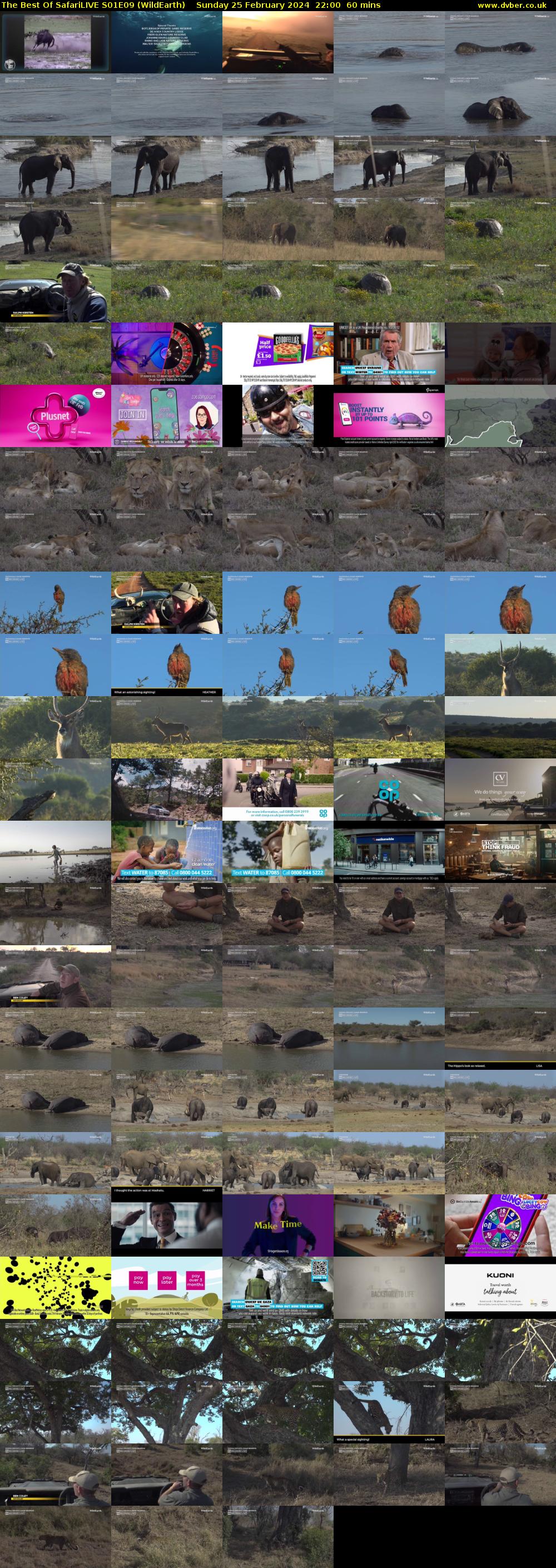 The Best Of SafariLIVE S01E09 (WildEarth) Sunday 25 February 2024 22:00 - 23:00