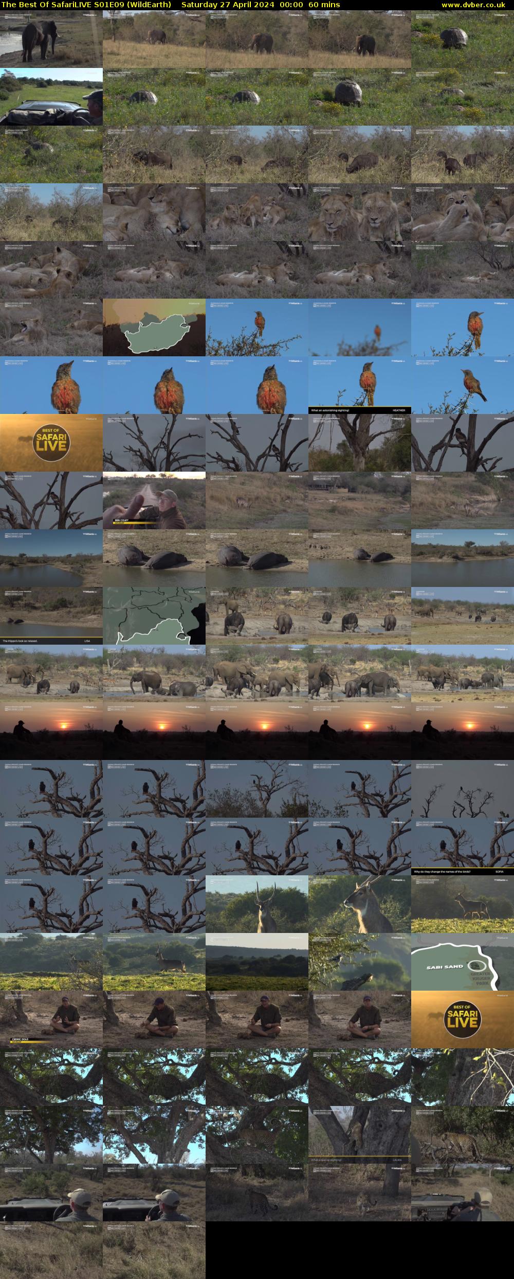 The Best Of SafariLIVE S01E09 (WildEarth) Saturday 27 April 2024 00:00 - 01:00