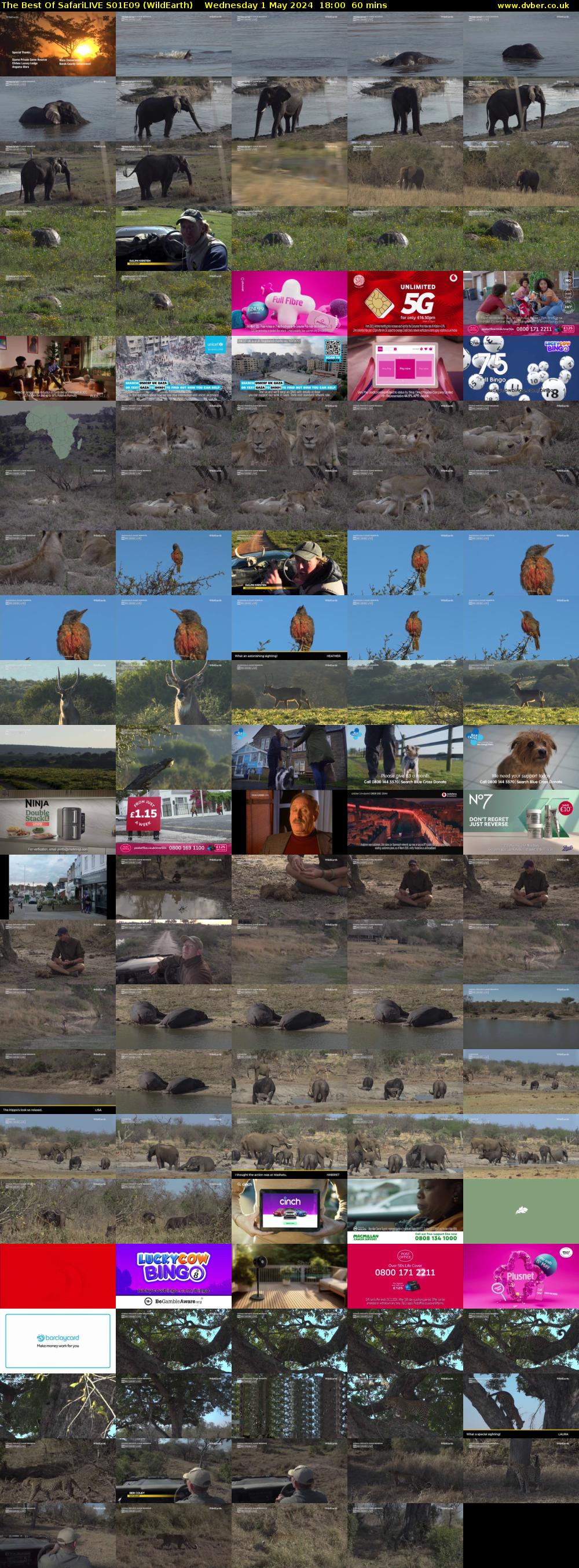 The Best Of SafariLIVE S01E09 (WildEarth) Wednesday 1 May 2024 18:00 - 19:00