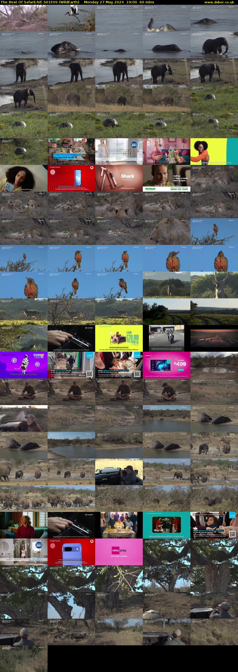 The Best Of SafariLIVE S01E09 (WildEarth) Monday 27 May 2024 19:00 - 20:00