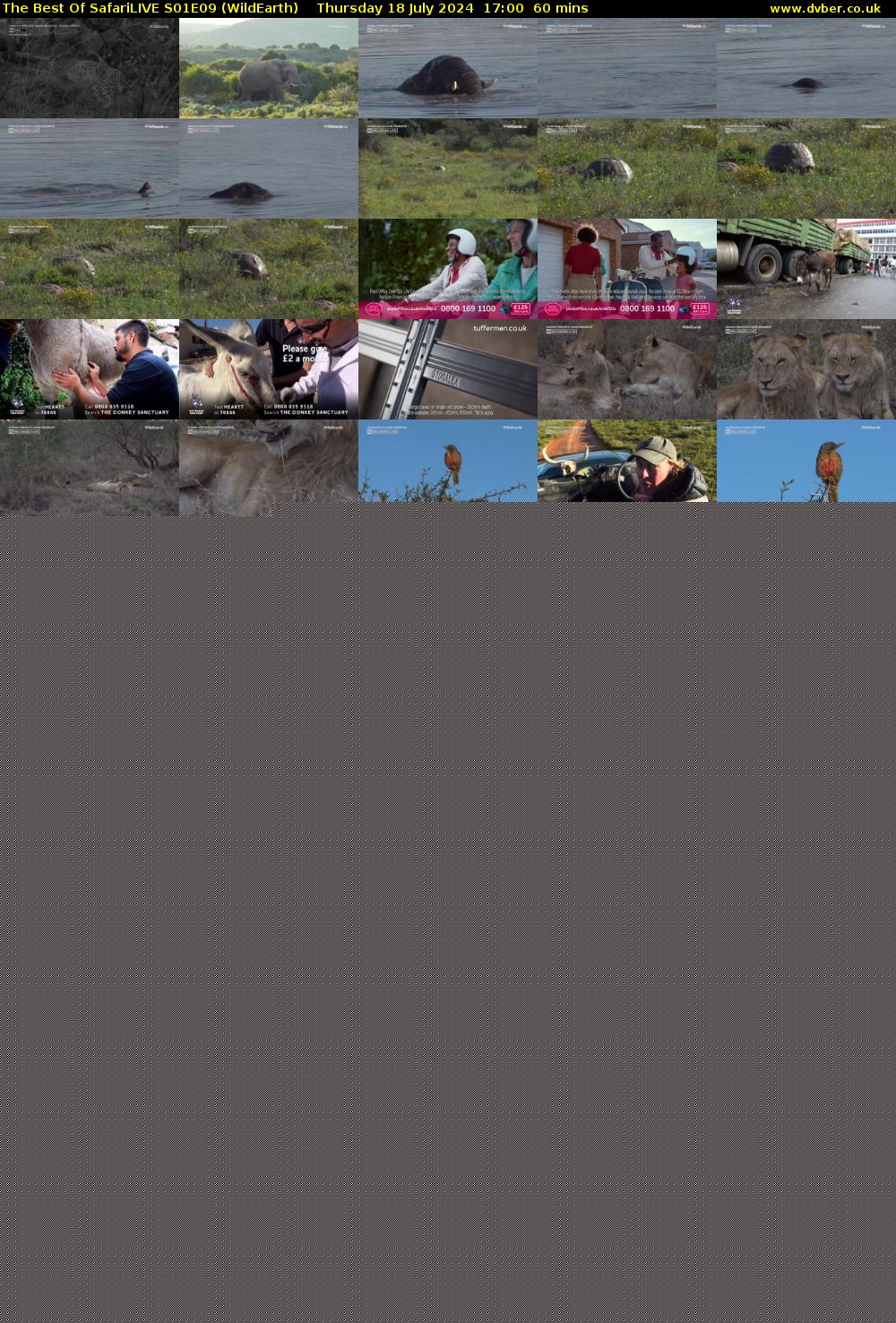 The Best Of SafariLIVE S01E09 (WildEarth) Thursday 18 July 2024 17:00 - 18:00