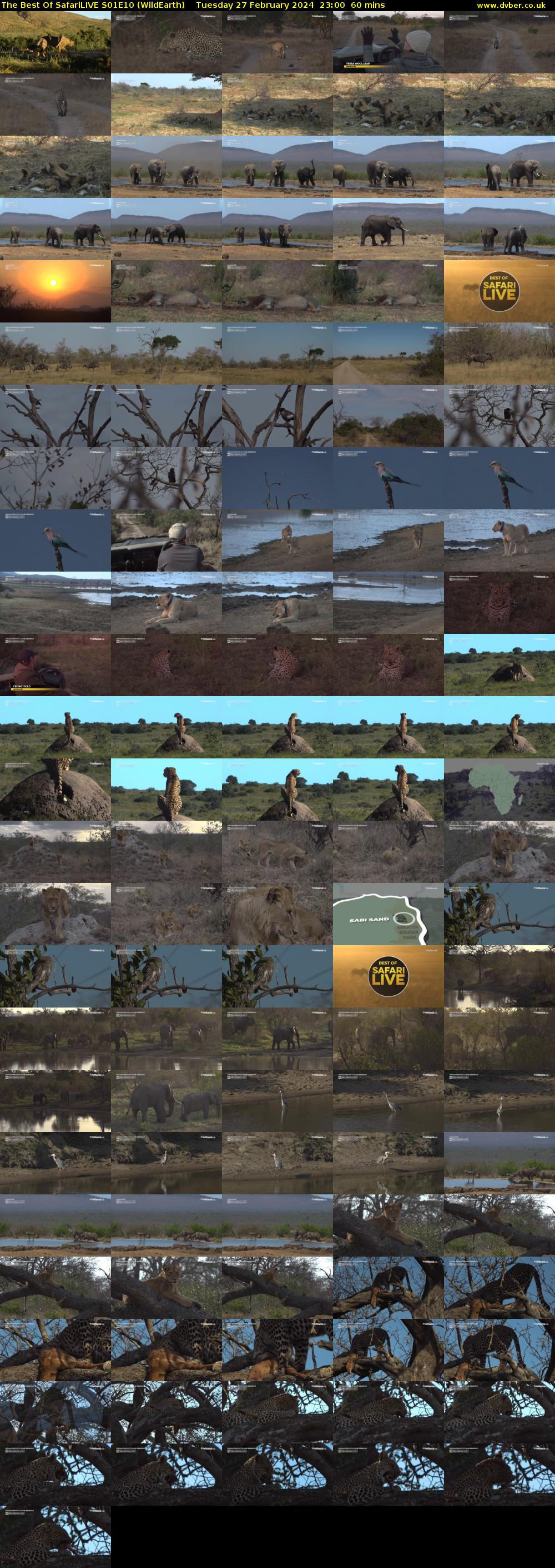 The Best Of SafariLIVE S01E10 (WildEarth) Tuesday 27 February 2024 23:00 - 00:00