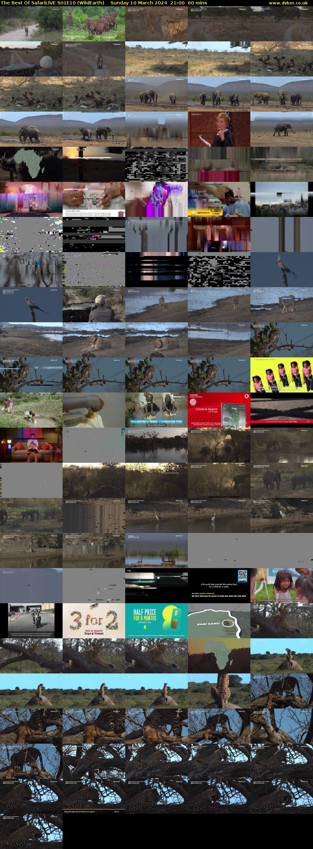 The Best Of SafariLIVE S01E10 (WildEarth) Sunday 10 March 2024 21:00 - 22:00