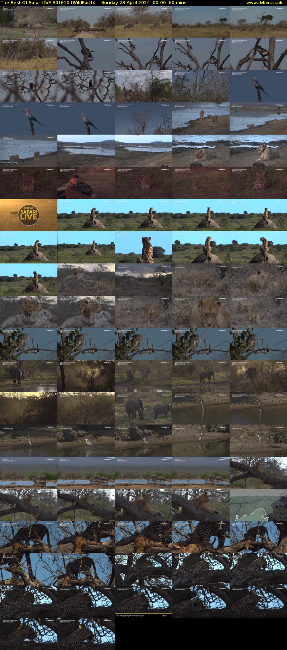 The Best Of SafariLIVE S01E10 (WildEarth) Sunday 28 April 2024 00:00 - 01:00