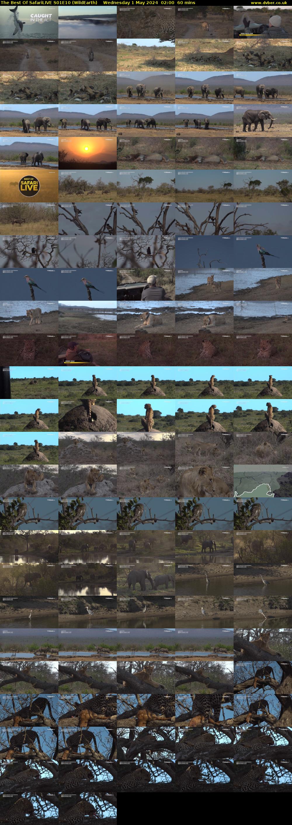 The Best Of SafariLIVE S01E10 (WildEarth) Wednesday 1 May 2024 02:00 - 03:00