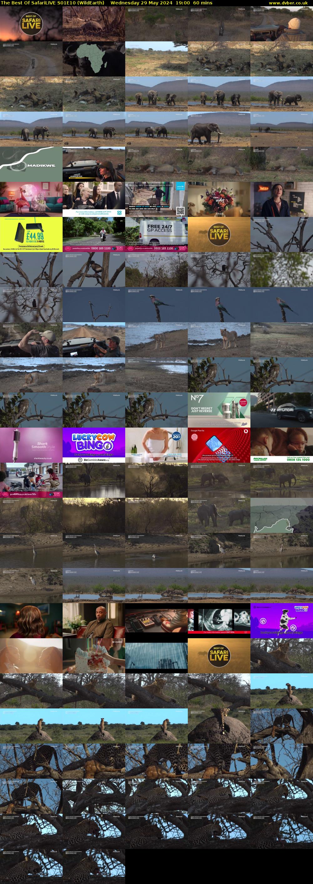 The Best Of SafariLIVE S01E10 (WildEarth) Wednesday 29 May 2024 19:00 - 20:00