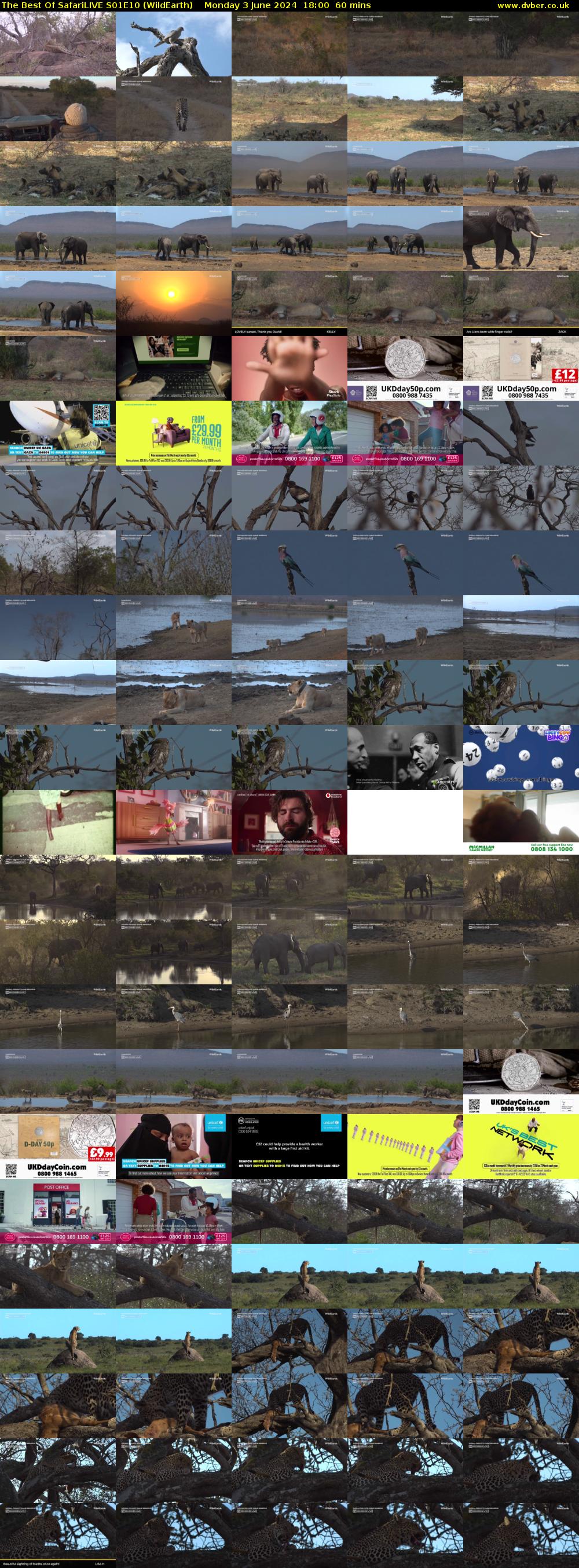 The Best Of SafariLIVE S01E10 (WildEarth) Monday 3 June 2024 18:00 - 19:00