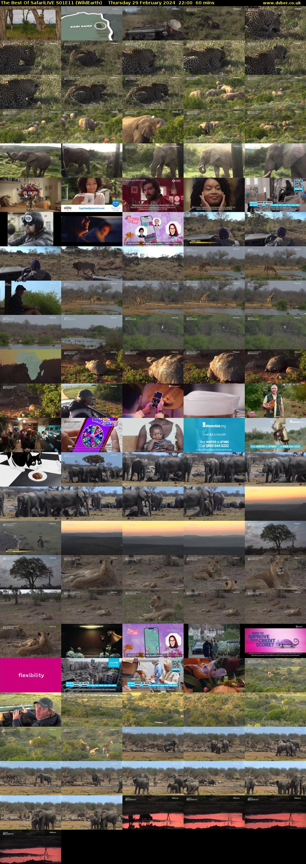 The Best Of SafariLIVE S01E11 (WildEarth) Thursday 29 February 2024 22:00 - 23:00