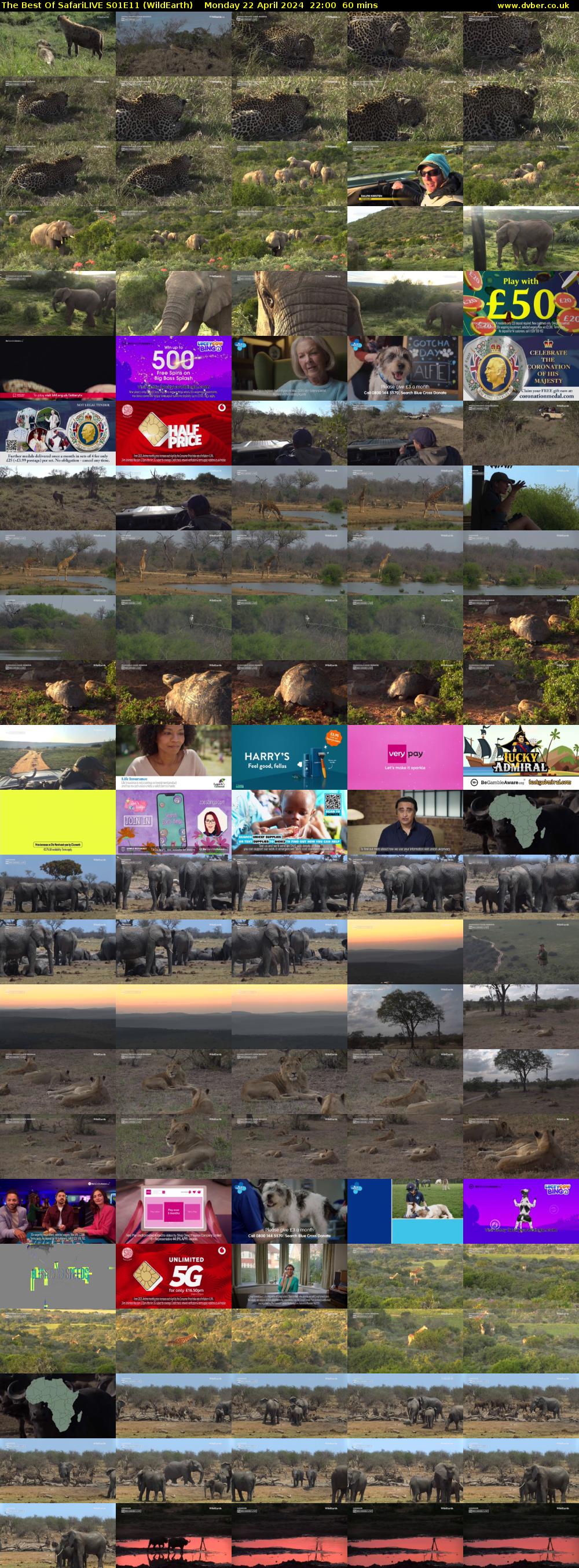 The Best Of SafariLIVE S01E11 (WildEarth) Monday 22 April 2024 22:00 - 23:00