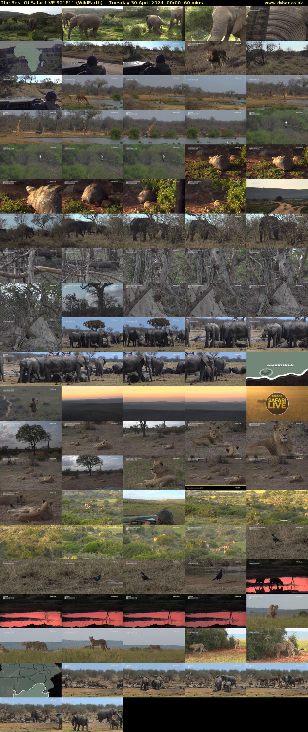 The Best Of SafariLIVE S01E11 (WildEarth) Tuesday 30 April 2024 00:00 - 01:00