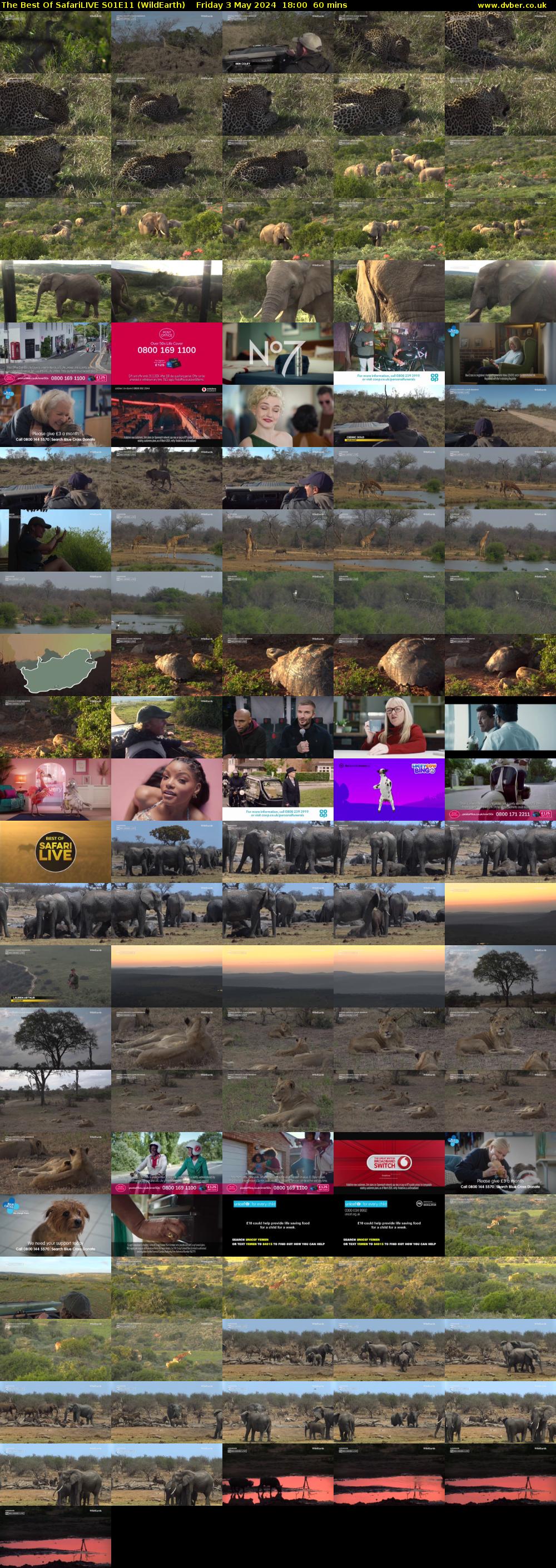 The Best Of SafariLIVE S01E11 (WildEarth) Friday 3 May 2024 18:00 - 19:00