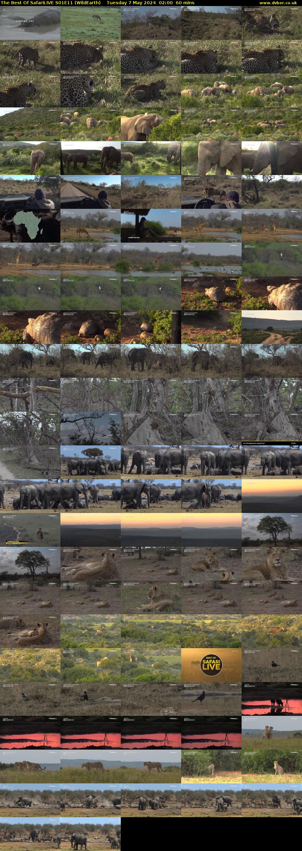 The Best Of SafariLIVE S01E11 (WildEarth) Tuesday 7 May 2024 02:00 - 03:00