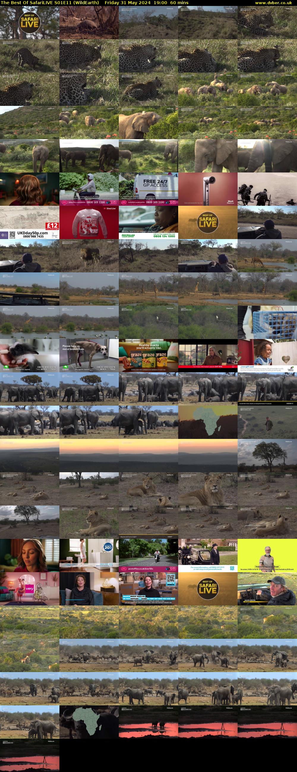 The Best Of SafariLIVE S01E11 (WildEarth) Friday 31 May 2024 19:00 - 20:00