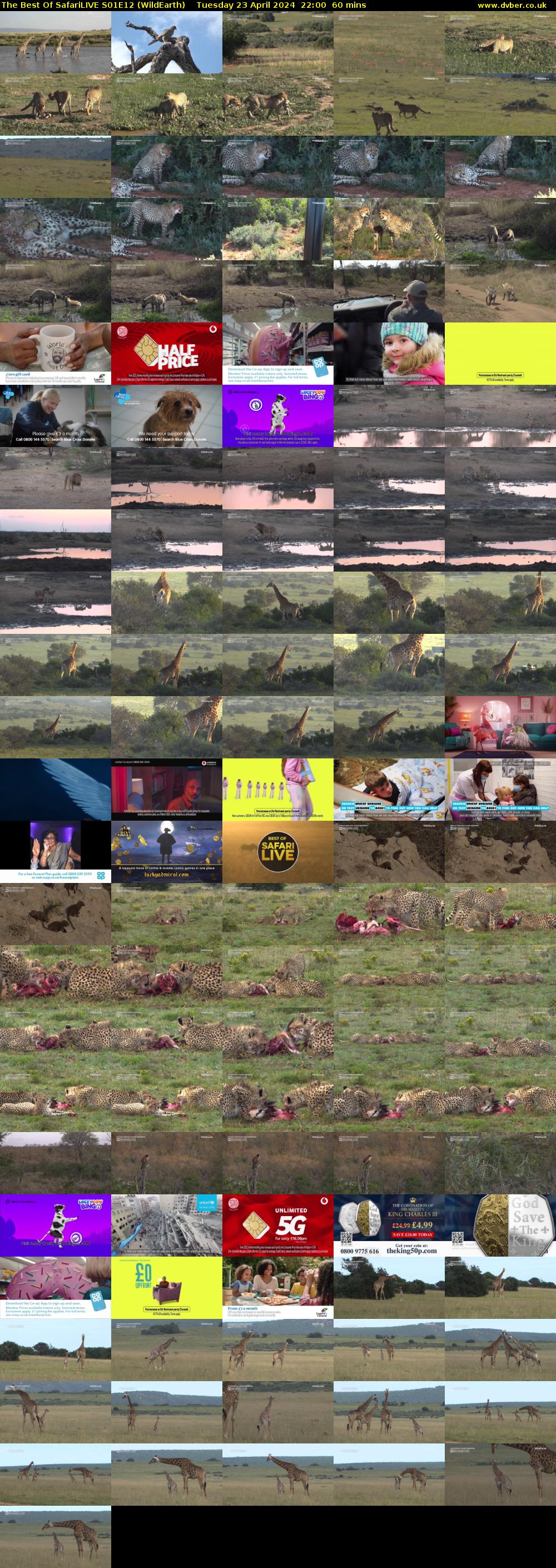 The Best Of SafariLIVE S01E12 (WildEarth) Tuesday 23 April 2024 22:00 - 23:00