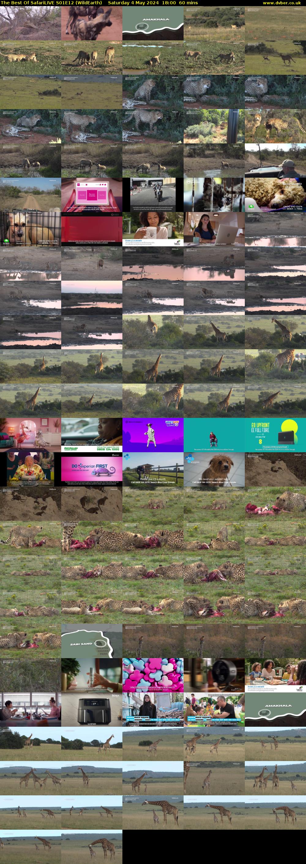 The Best Of SafariLIVE S01E12 (WildEarth) Saturday 4 May 2024 18:00 - 19:00