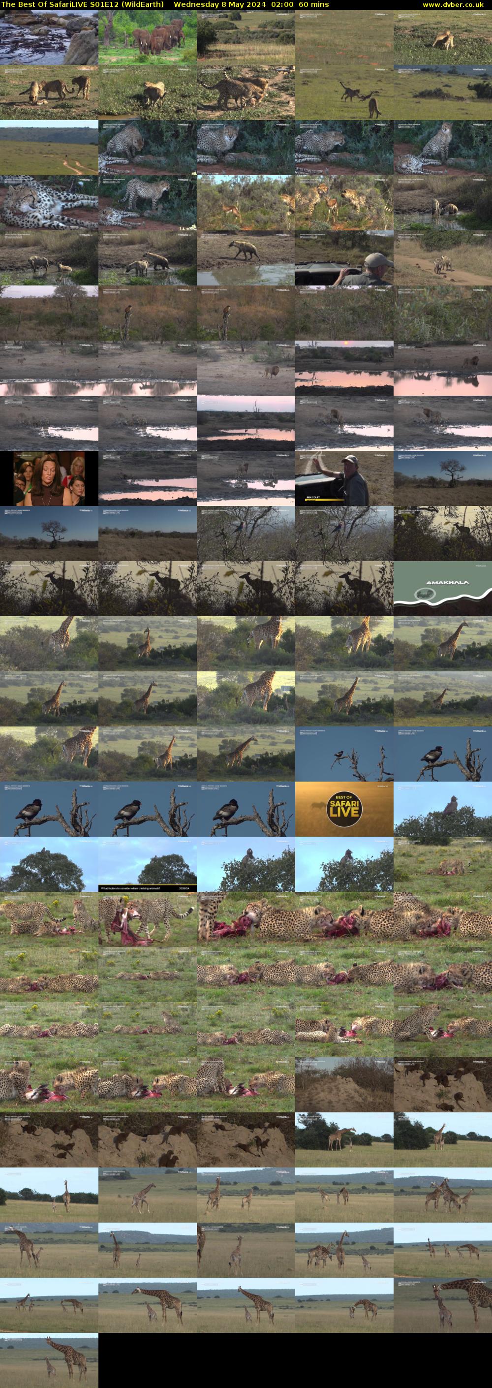 The Best Of SafariLIVE S01E12 (WildEarth) Wednesday 8 May 2024 02:00 - 03:00