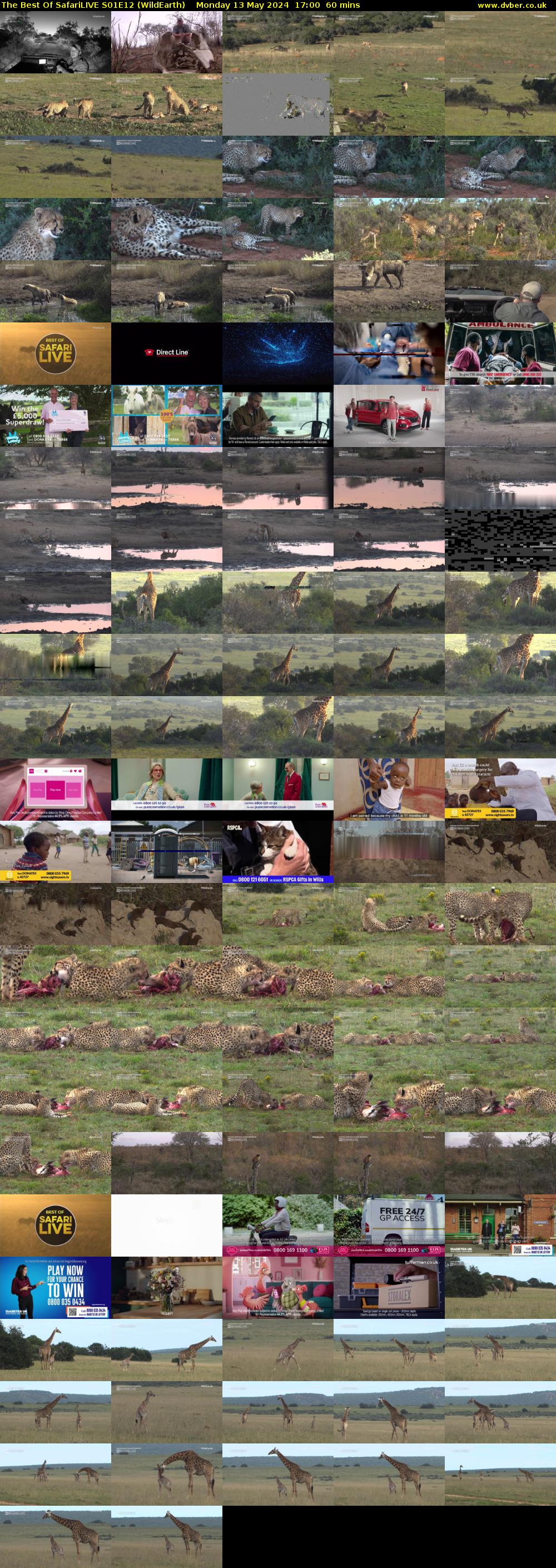 The Best Of SafariLIVE S01E12 (WildEarth) Monday 13 May 2024 17:00 - 18:00
