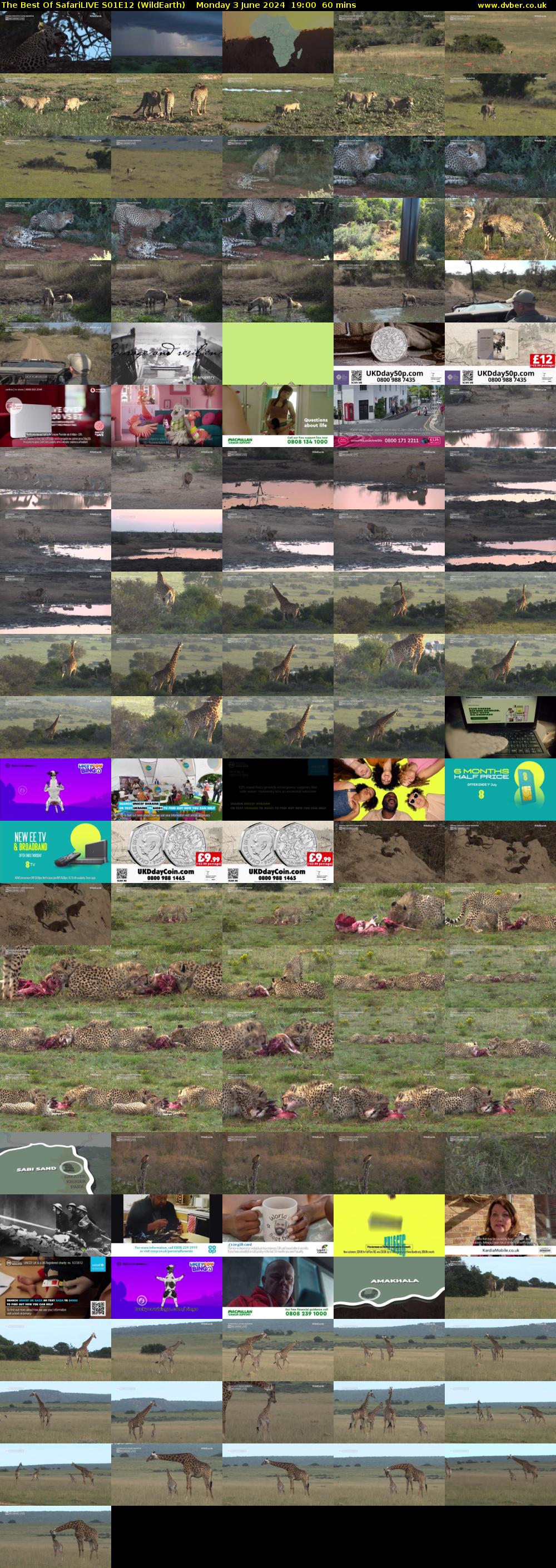 The Best Of SafariLIVE S01E12 (WildEarth) Monday 3 June 2024 19:00 - 20:00
