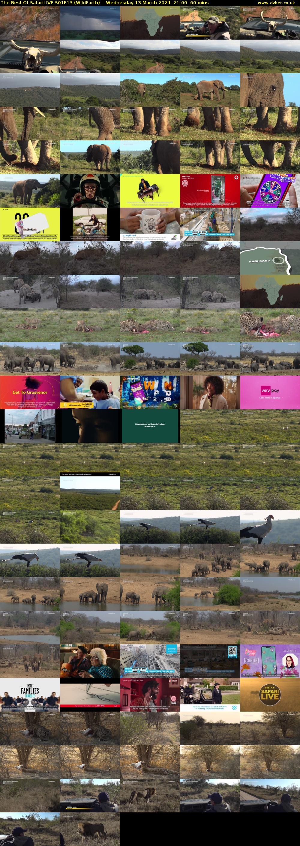 The Best Of SafariLIVE S01E13 (WildEarth) Wednesday 13 March 2024 21:00 - 22:00