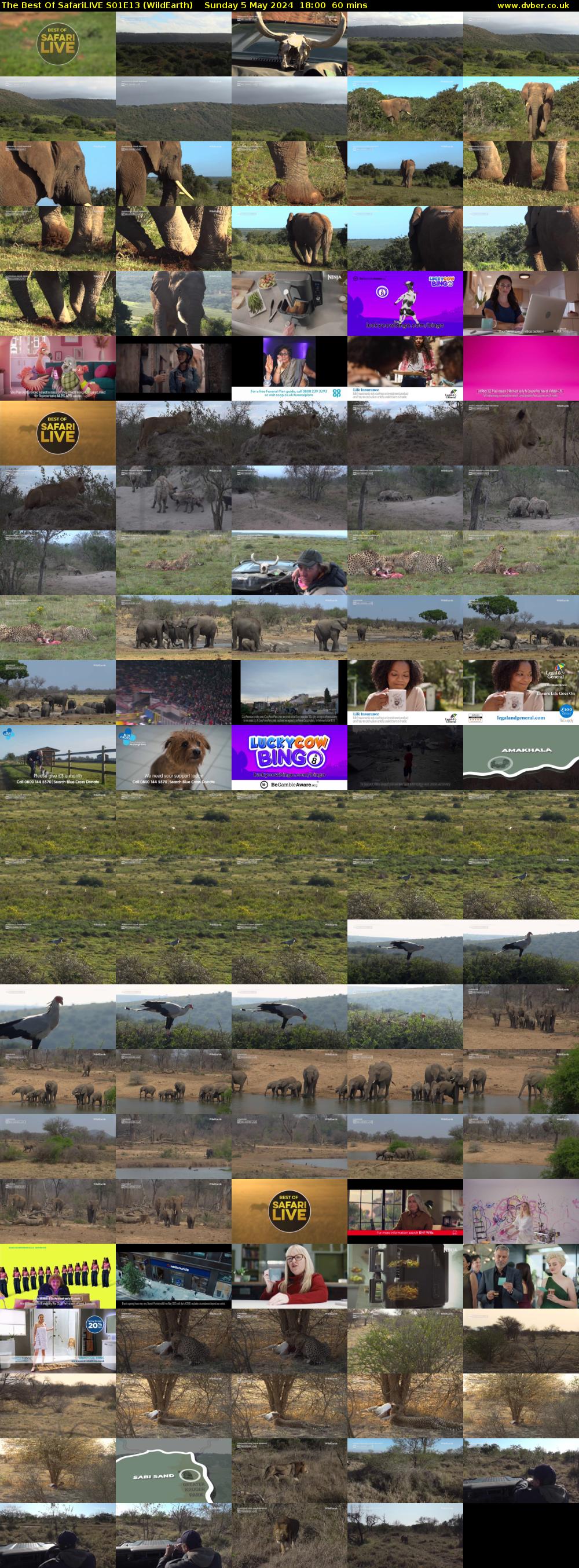 The Best Of SafariLIVE S01E13 (WildEarth) Sunday 5 May 2024 18:00 - 19:00
