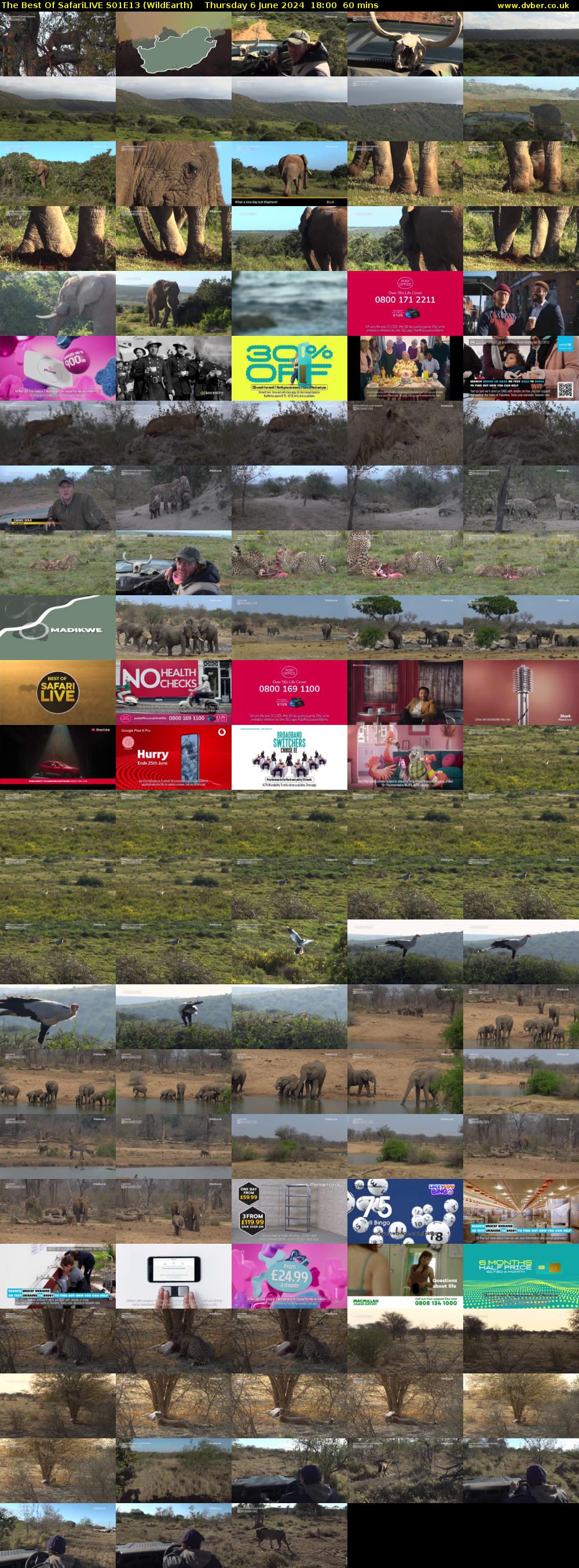 The Best Of SafariLIVE S01E13 (WildEarth) Thursday 6 June 2024 18:00 - 19:00