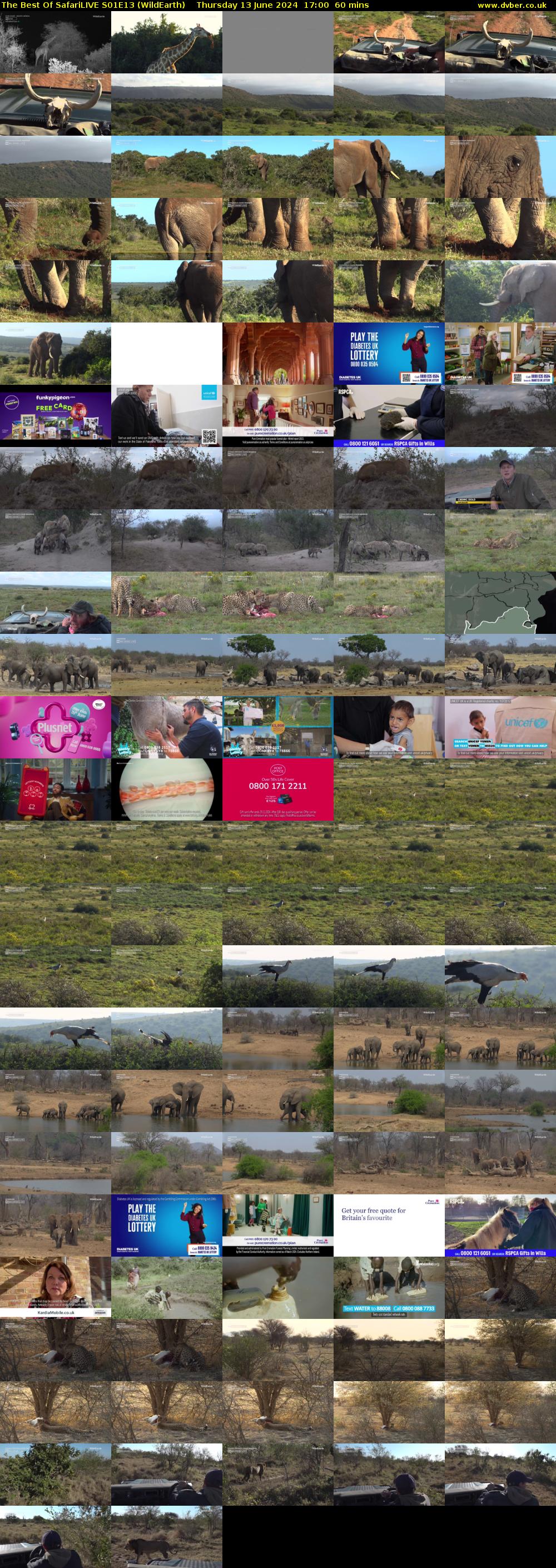 The Best Of SafariLIVE S01E13 (WildEarth) Thursday 13 June 2024 17:00 - 18:00