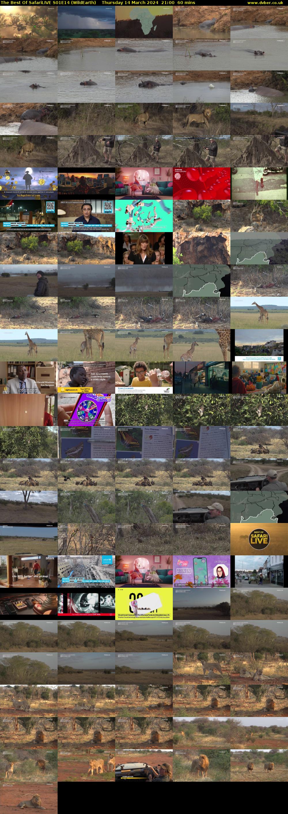 The Best Of SafariLIVE S01E14 (WildEarth) Thursday 14 March 2024 21:00 - 22:00