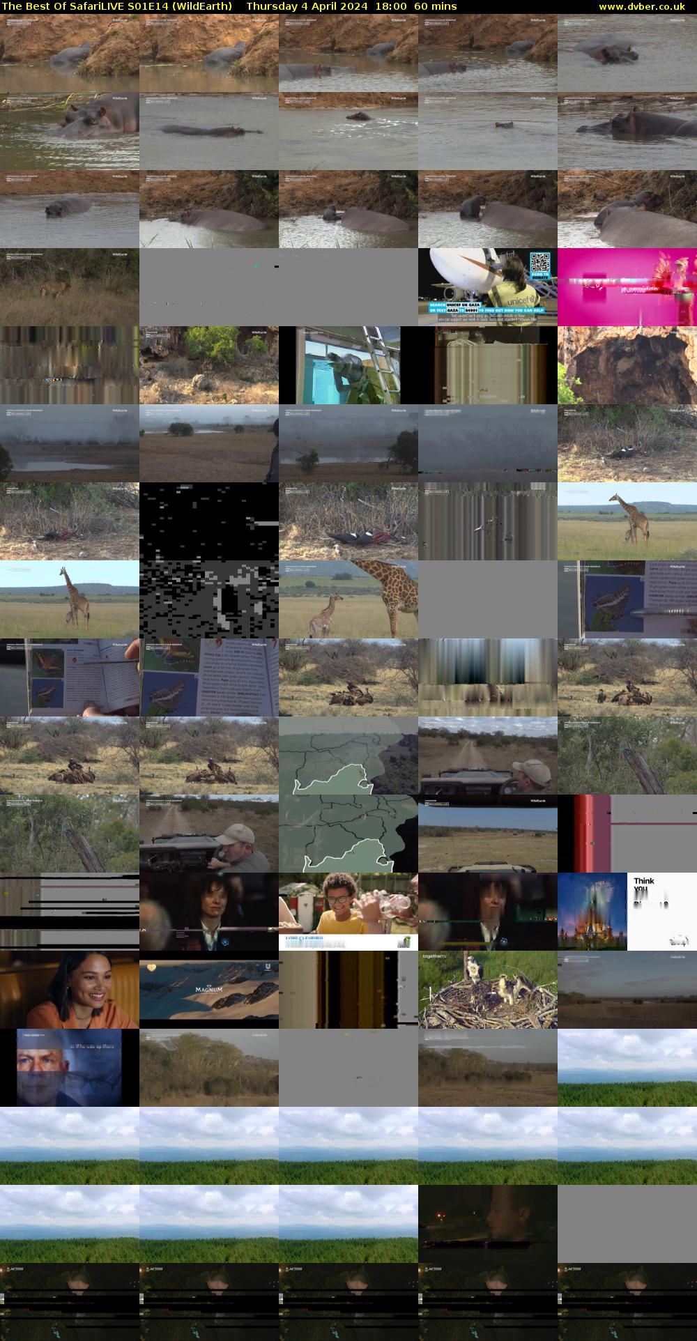 The Best Of SafariLIVE S01E14 (WildEarth) Thursday 4 April 2024 18:00 - 19:00