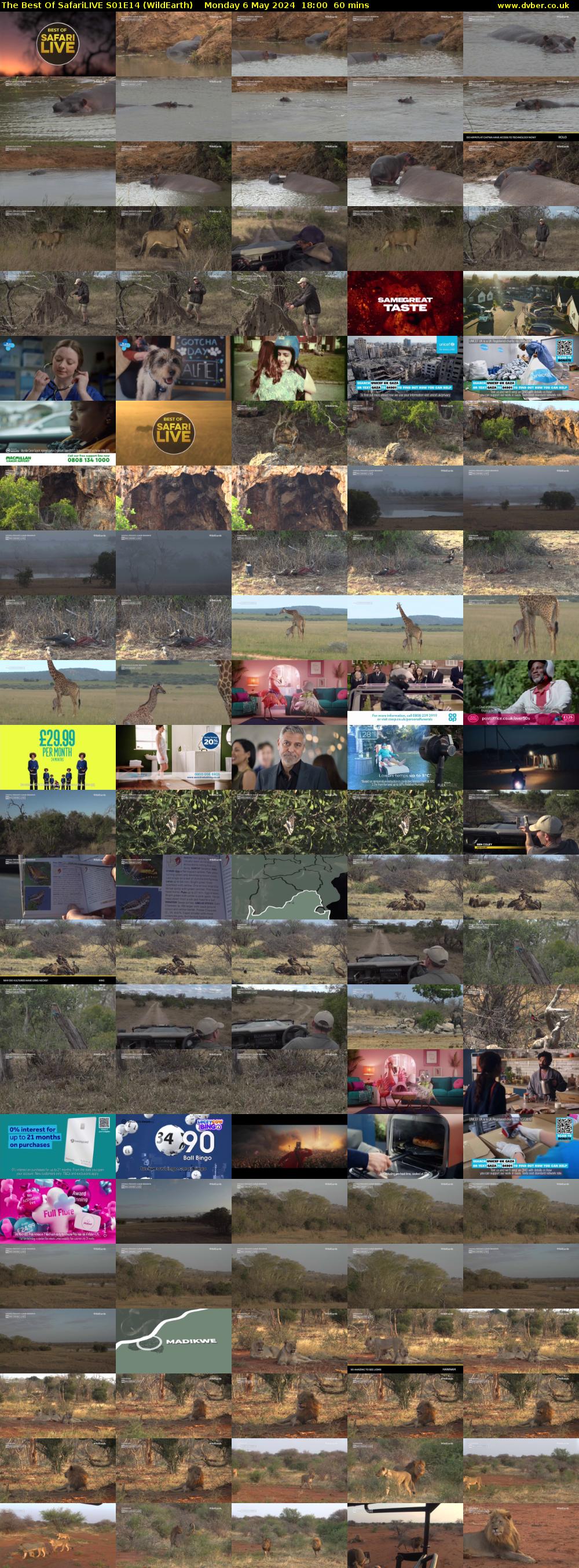 The Best Of SafariLIVE S01E14 (WildEarth) Monday 6 May 2024 18:00 - 19:00