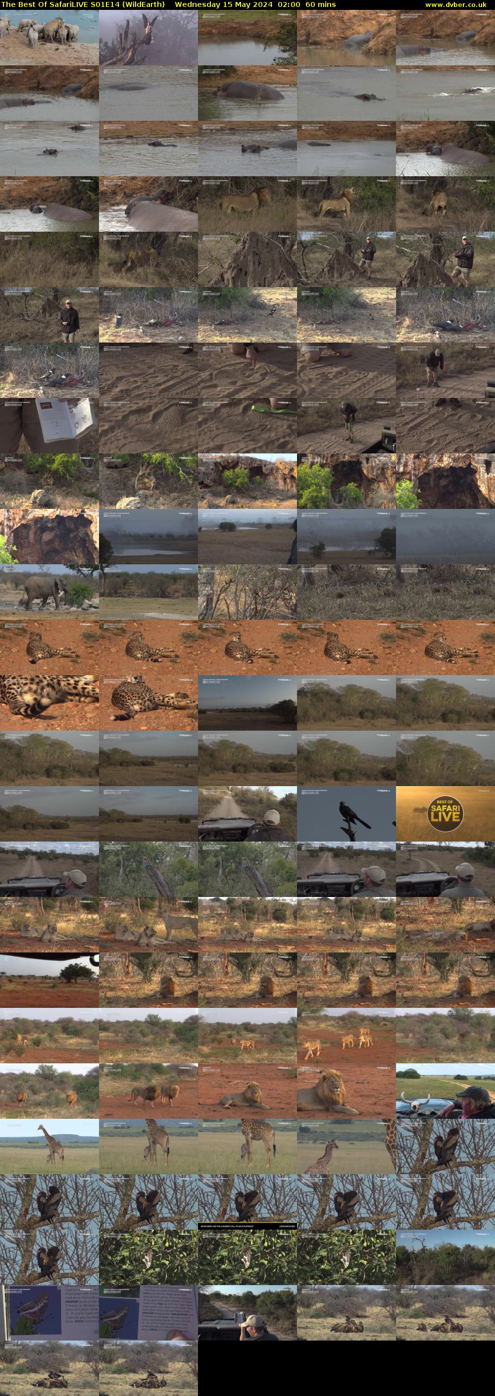 The Best Of SafariLIVE S01E14 (WildEarth) Wednesday 15 May 2024 02:00 - 03:00