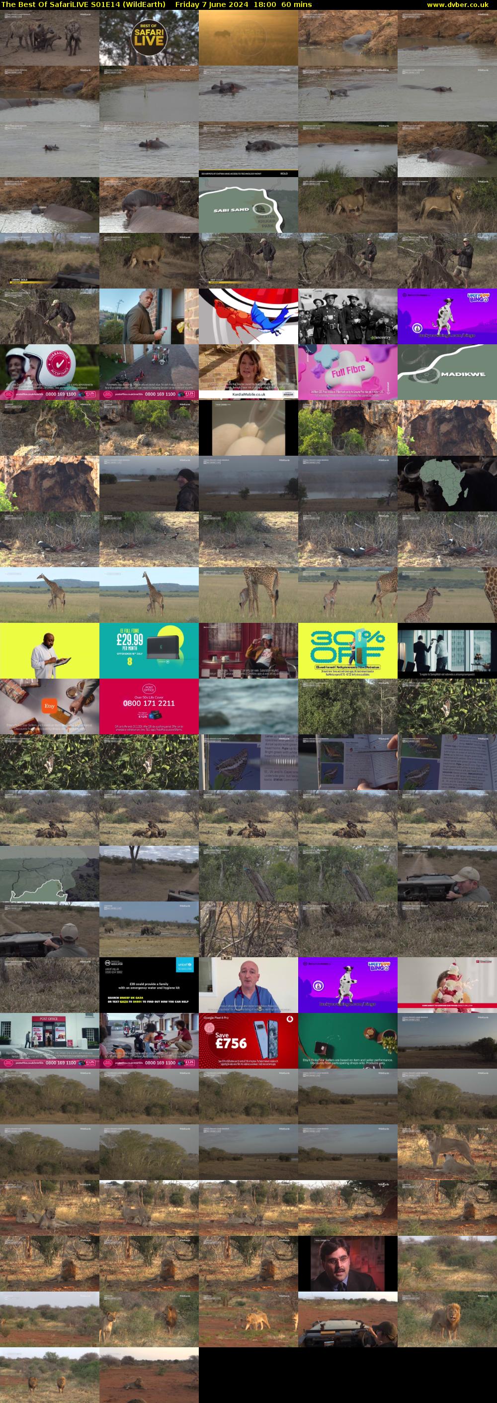 The Best Of SafariLIVE S01E14 (WildEarth) Friday 7 June 2024 18:00 - 19:00