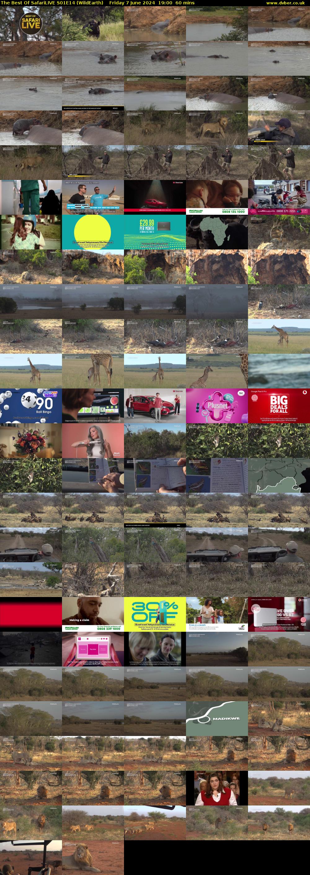 The Best Of SafariLIVE S01E14 (WildEarth) Friday 7 June 2024 19:00 - 20:00