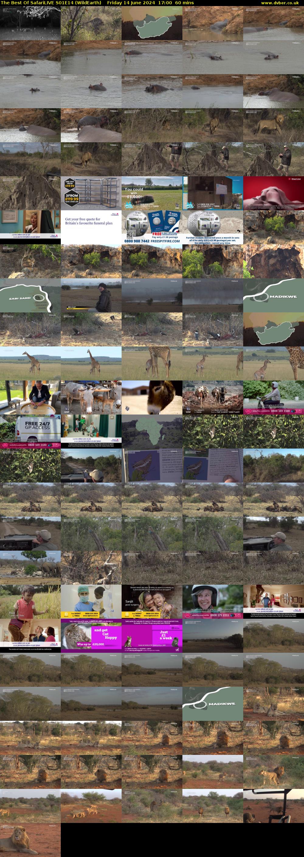 The Best Of SafariLIVE S01E14 (WildEarth) Friday 14 June 2024 17:00 - 18:00