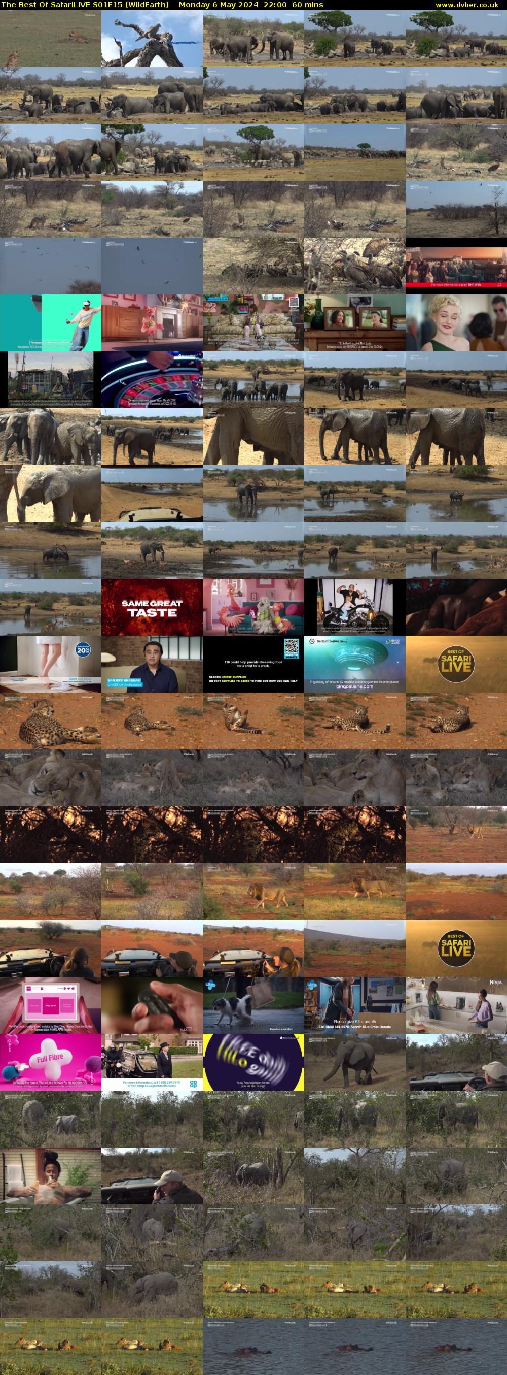 The Best Of SafariLIVE S01E15 (WildEarth) Monday 6 May 2024 22:00 - 23:00