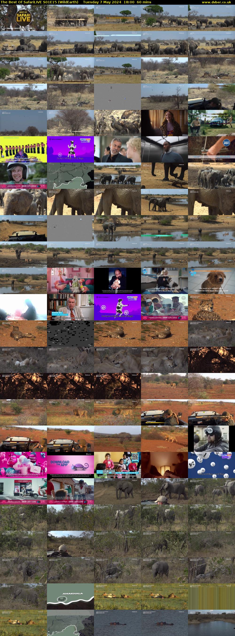 The Best Of SafariLIVE S01E15 (WildEarth) Tuesday 7 May 2024 18:00 - 19:00