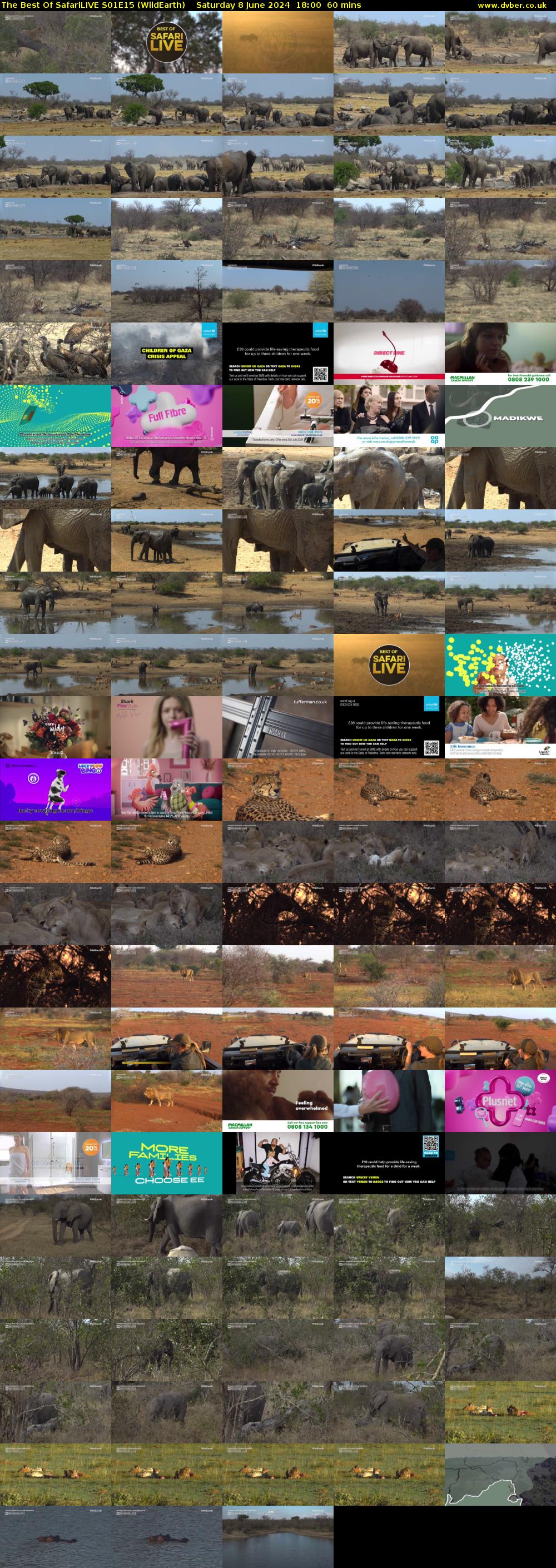 The Best Of SafariLIVE S01E15 (WildEarth) Saturday 8 June 2024 18:00 - 19:00