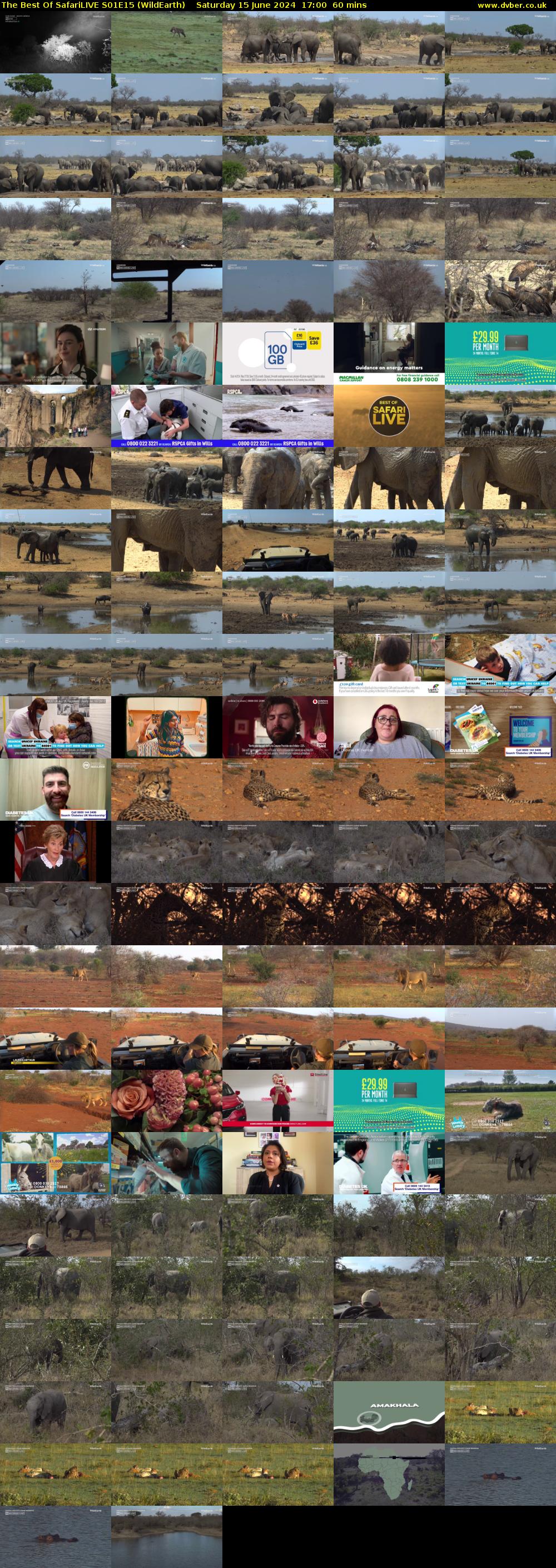The Best Of SafariLIVE S01E15 (WildEarth) Saturday 15 June 2024 17:00 - 18:00