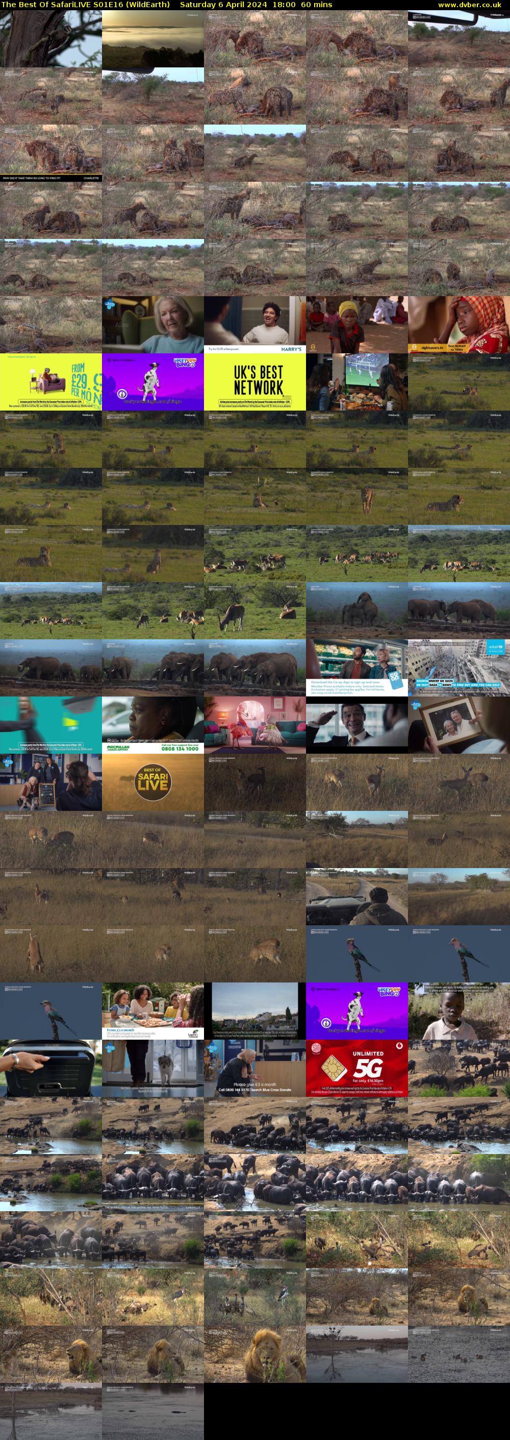 The Best Of SafariLIVE S01E16 (WildEarth) Saturday 6 April 2024 18:00 - 19:00