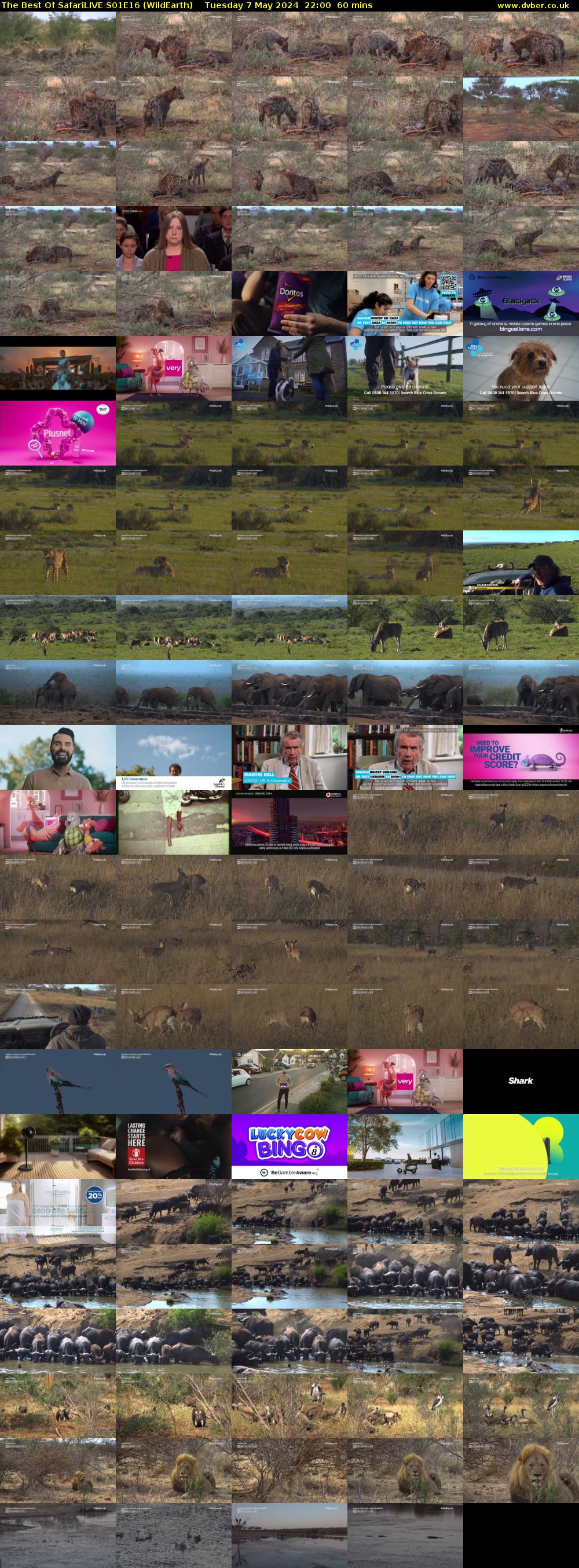 The Best Of SafariLIVE S01E16 (WildEarth) Tuesday 7 May 2024 22:00 - 23:00