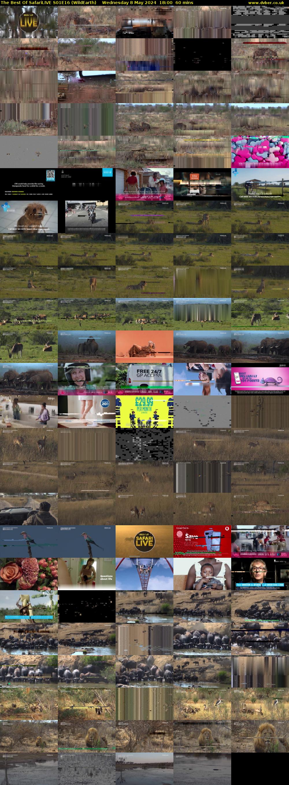 The Best Of SafariLIVE S01E16 (WildEarth) Wednesday 8 May 2024 18:00 - 19:00