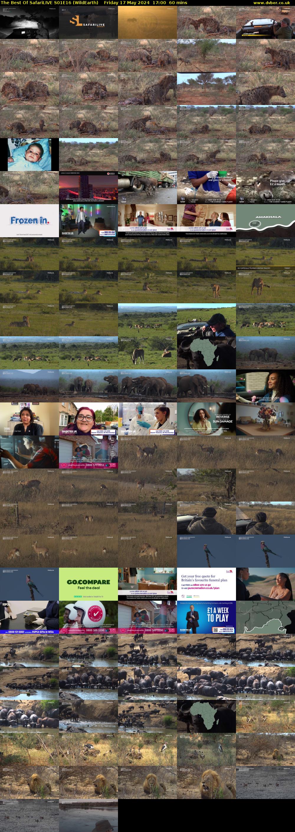 The Best Of SafariLIVE S01E16 (WildEarth) Friday 17 May 2024 17:00 - 18:00