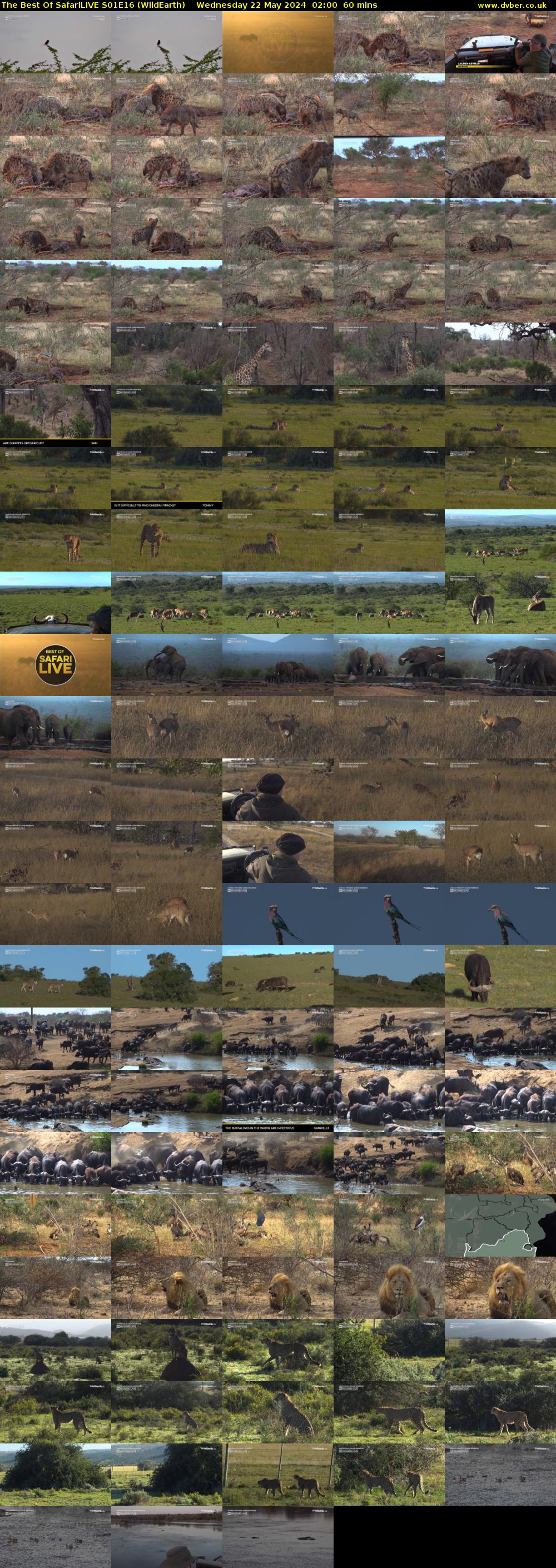The Best Of SafariLIVE S01E16 (WildEarth) Wednesday 22 May 2024 02:00 - 03:00